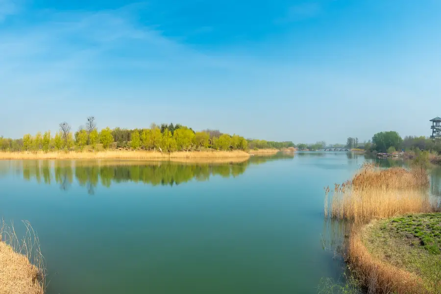 汶上蓮花湖濕地景區