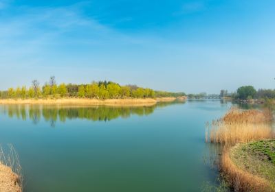 Wenshang Lianhuahu Wetland Sceneic Area