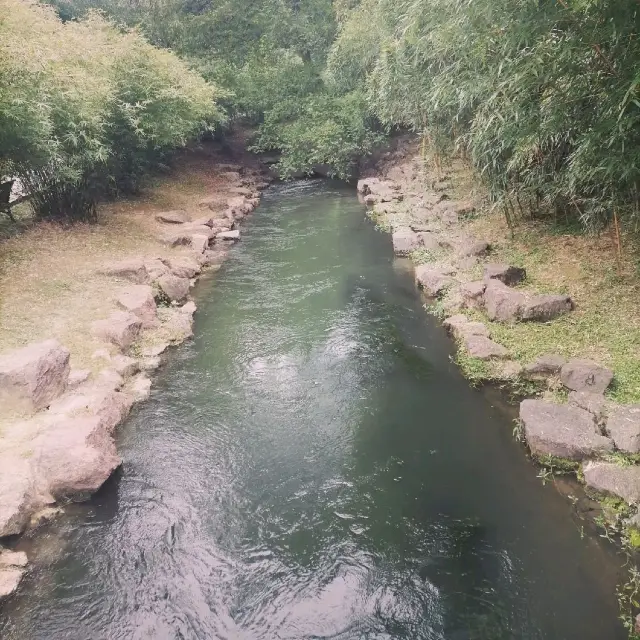 Hangzhou Botanical Garden