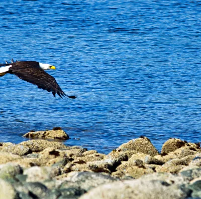 Flights from Campbell River to Vancouver