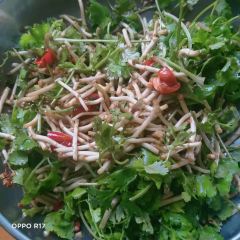 高山野菜馆 User Photo