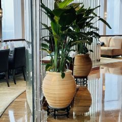 厚街国际大酒店·360度旋转餐厅 User Photo