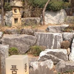 품 서울 여행 사진