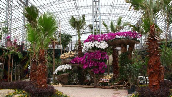 Taiwan Flower Expo Park