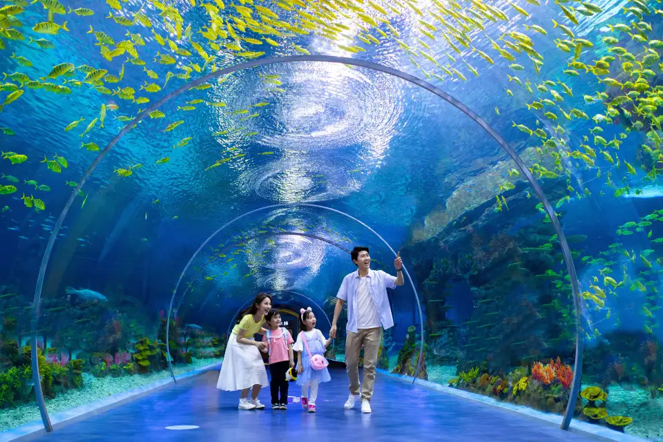 3_Shanghai Haichang Ocean Park