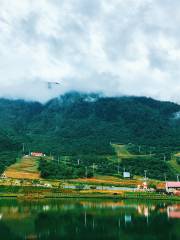 西嶺雪山滑草場