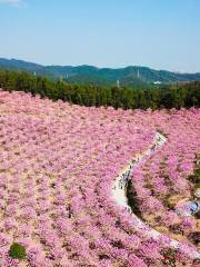 綠美生態園