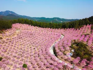 Green Beauty Ecological Park