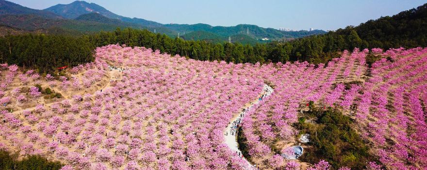Green Beauty Ecological Park