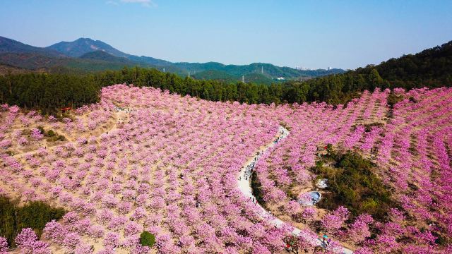 綠美生態園