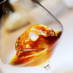 SUN PLANT User Photo