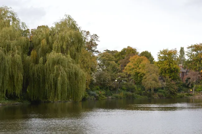 2-звездочные отели в г. Уолсолл