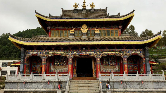 Hỗ Trợ