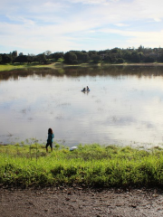 Lake Lagunita