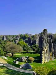 Yunnan Stone Forest Geological Park