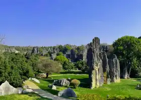 Yunnan Stone Forest Geological Park