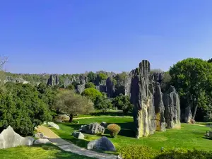 Yunnan Stone Forest Geological Park