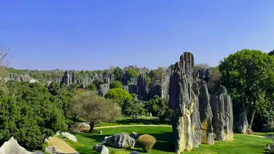 Yunnan Stone Forest Geological Park