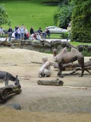 Antwerp Zoo