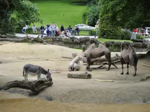 アントワープ動物園