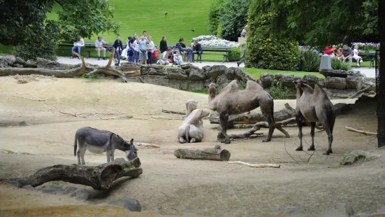 安特衛普動物園