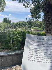 丹霞島公園