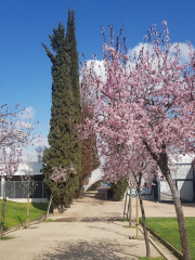 Cerro Almodóvar Park