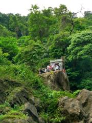 Thenmala Reserve Forest.