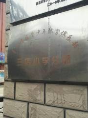 Sandian Primary School Branch of Qingyunpu District Youth Sports Club