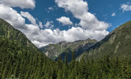 wang lang guo jia ji zi ran bao hu qu