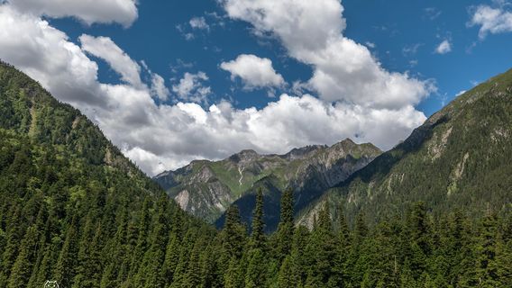 wang lang guo jia ji zi ran bao hu qu