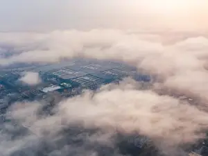 Zhuji Pearl Market