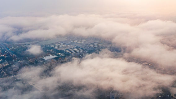 ตลาดไข่มุกจูจิ