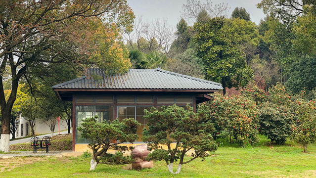 Ma'anshan Forest Park