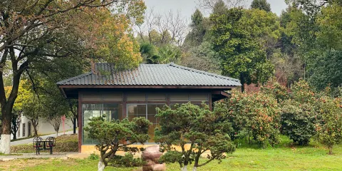馬鞍山森林公園