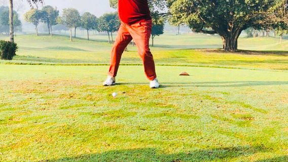 Royal Palm Golf And Country Club