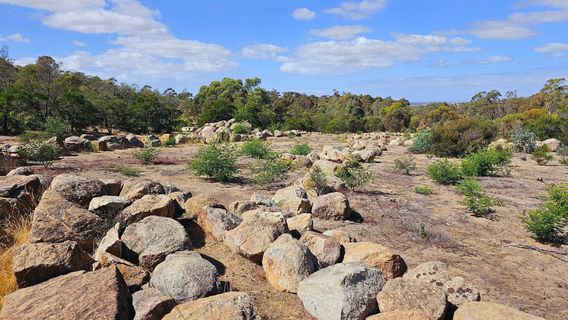 You Yangs Regional Park