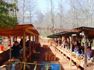 Emerald Hollow Mine