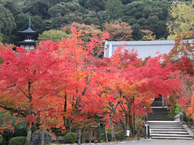 【日本京都】寺廟寶藏展 | 禪林寺 （永観堂）
