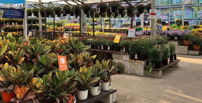 Lowe's Garden Center