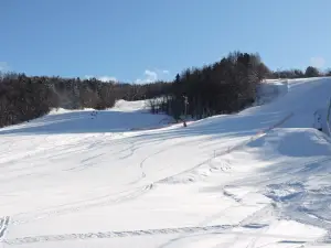 Hidaka International Ski Area