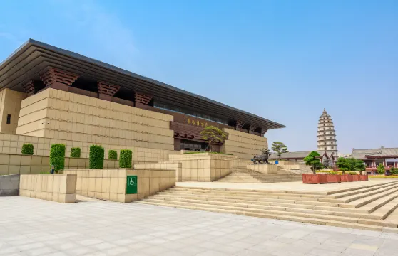 定州博物館【獨立包團】深度人工講解服務大小同價