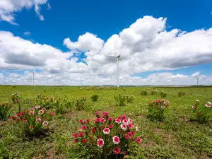 Huitengxile Grassland