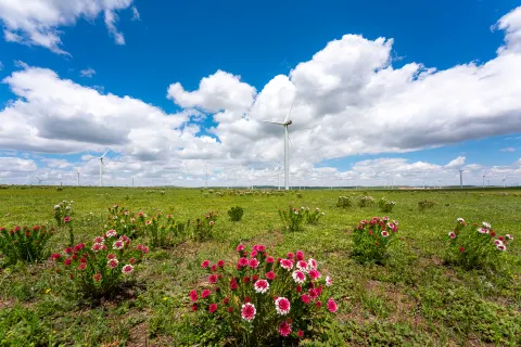 Huitengxile Grassland