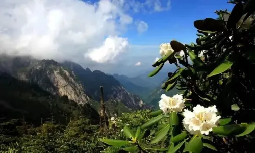 Zhuque National Forest Park