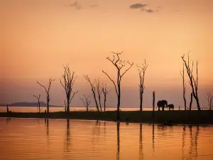 Matusadona National Park