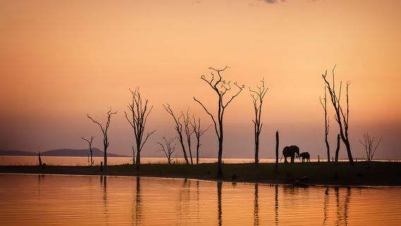 Harare