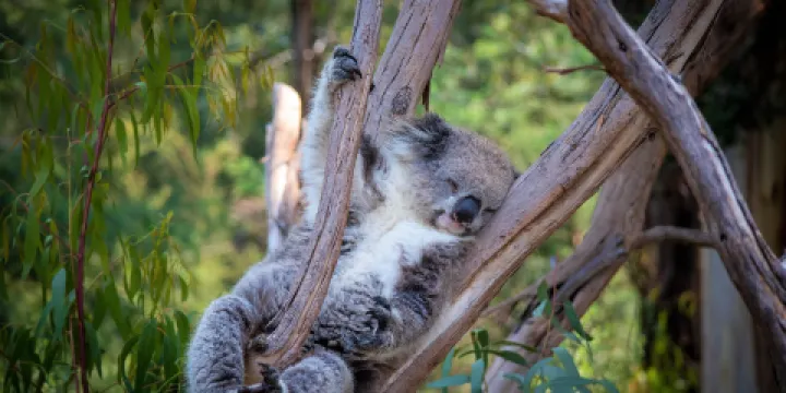 希爾斯維爾野生動物保護區