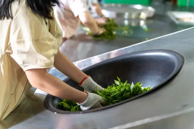 Tea Ceremony Experiences in Pu'er