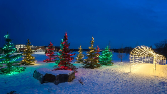 Legacy Christmas Light Display